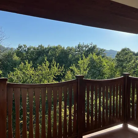 The Old Walnut House