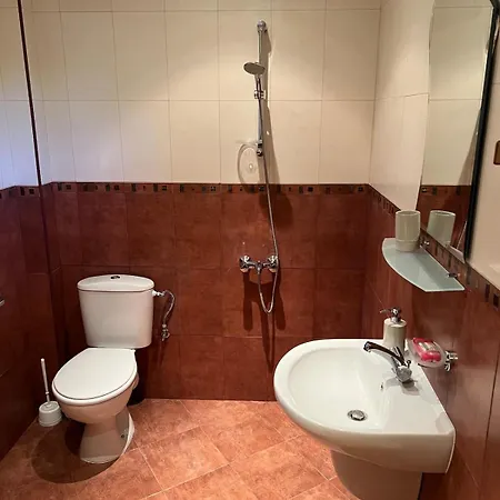 Сasa de vacaciones The Old Walnut House Terziysko