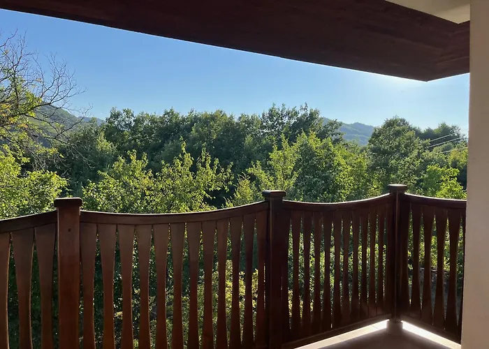 The Old Walnut House