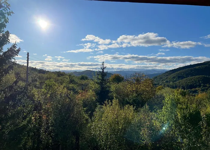 The Old Walnut House Holiday home Terziysko