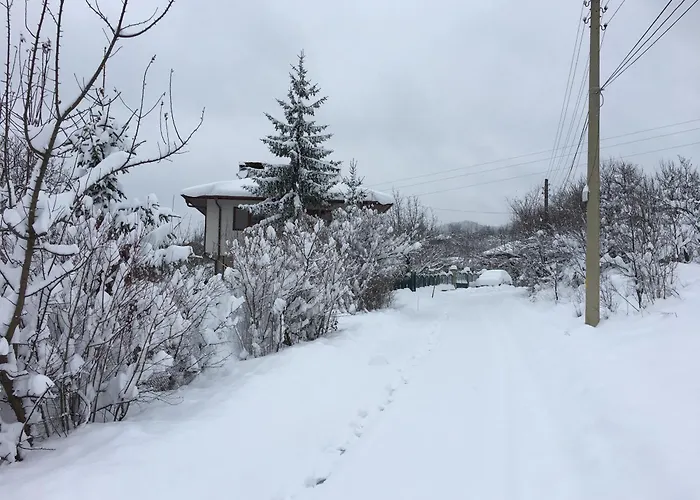 The Old Walnut House