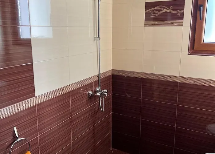 The Old Walnut House Holiday home Terziysko